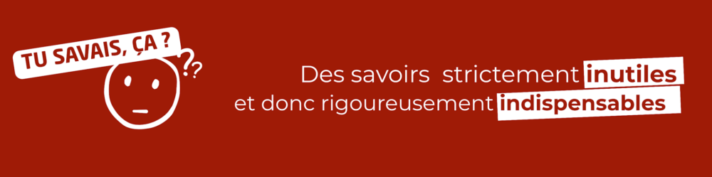 Tu savais, ça ? Des informations strictement inutiles et donc rigoureusement indispensables