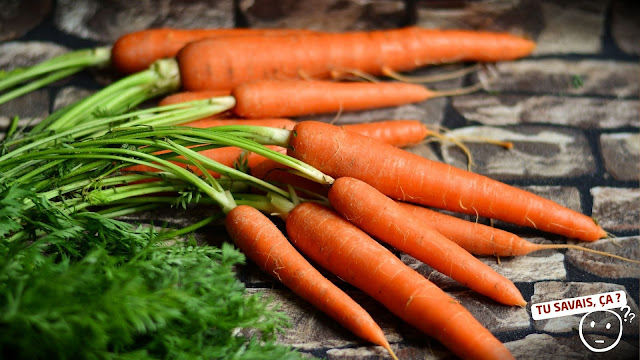 Pourquoi les carottes rendent-elles (soi-disant) aimable ?